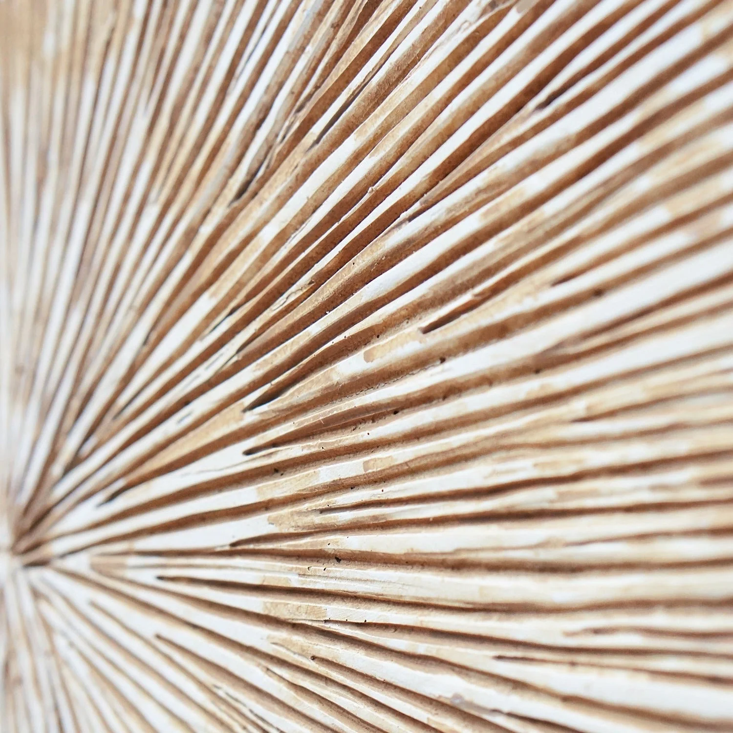 Groove 20.4"SQ, Brown Wash By Gold Leaf - Image 6
