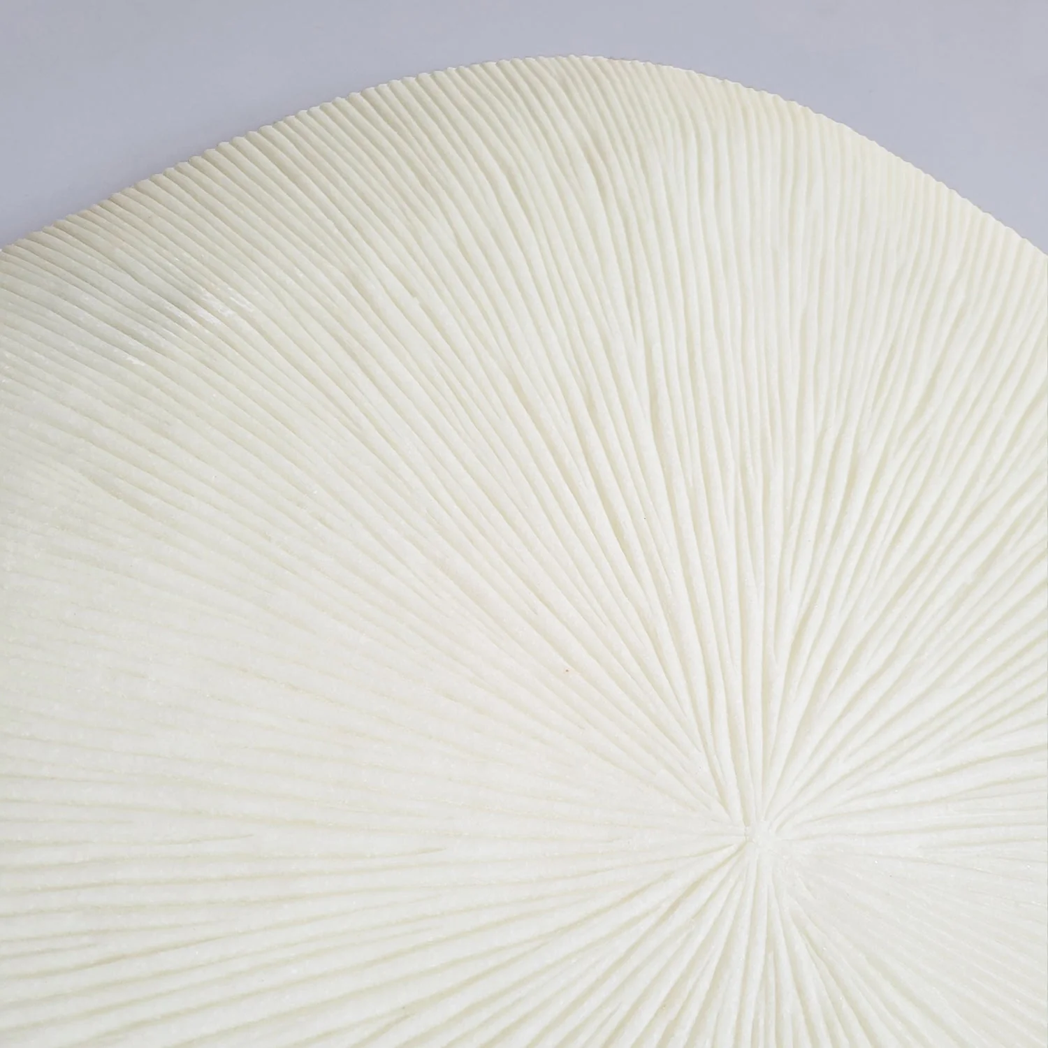 Groove 28.5"SQ, Cream By Gold Leaf - Image 9
