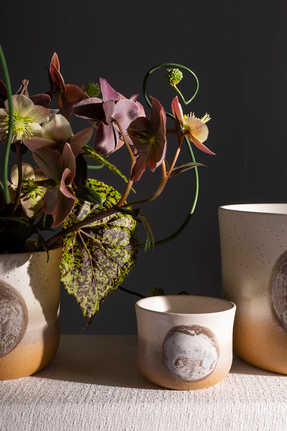 Hala Pot Set of 8 By Accent Decor - Image 5