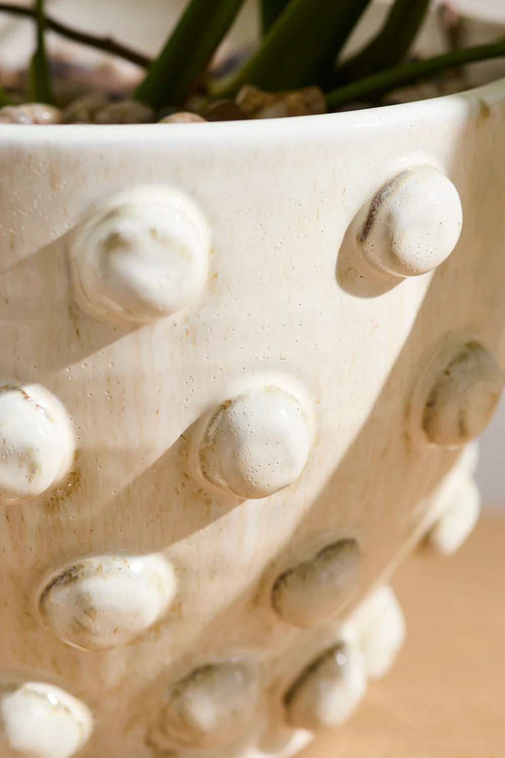 Hanover Pot By Accent Decor
