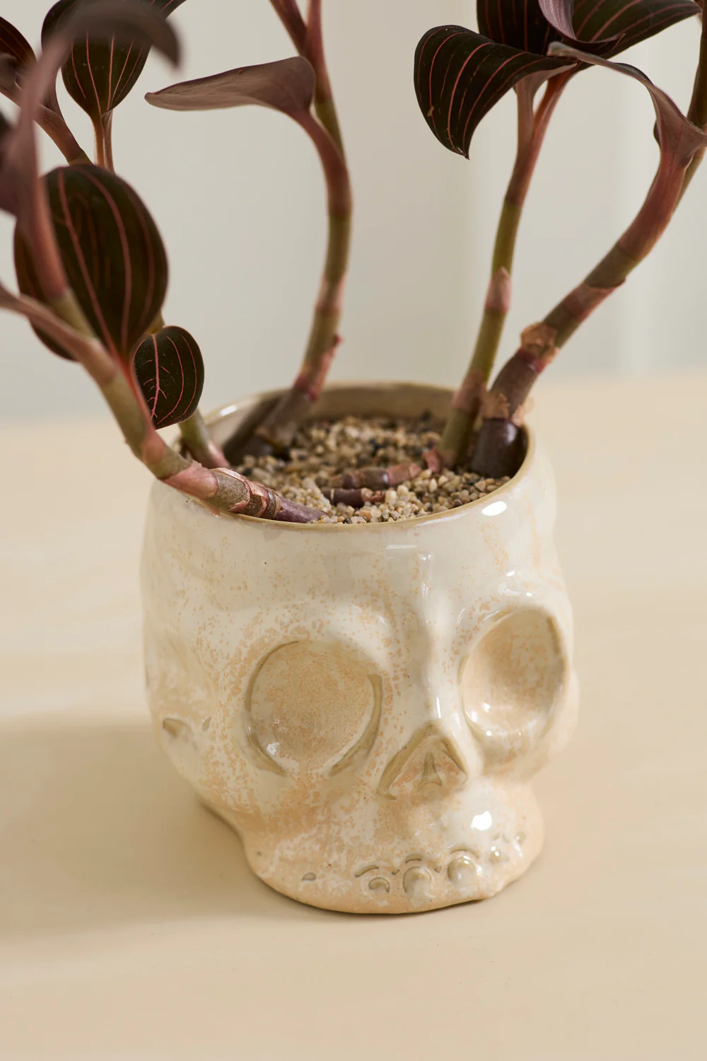 Haunting Skull Pot Set of 2 By Accent Decor - Image 11