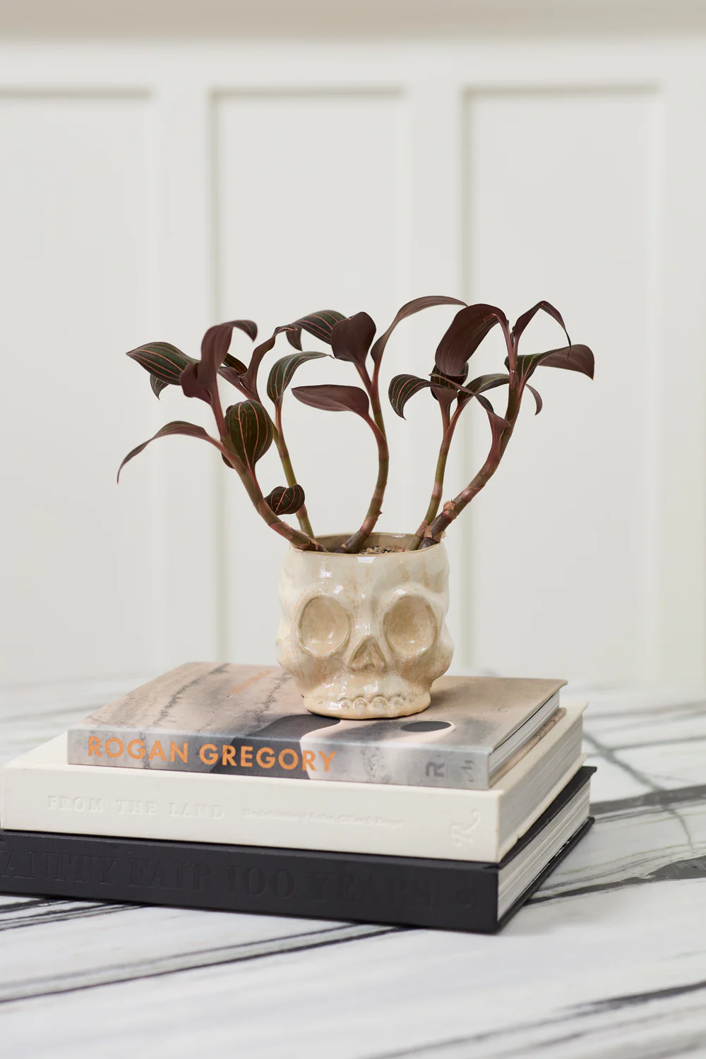 Haunting Skull Pot Set of 2 By Accent Decor - Image 12