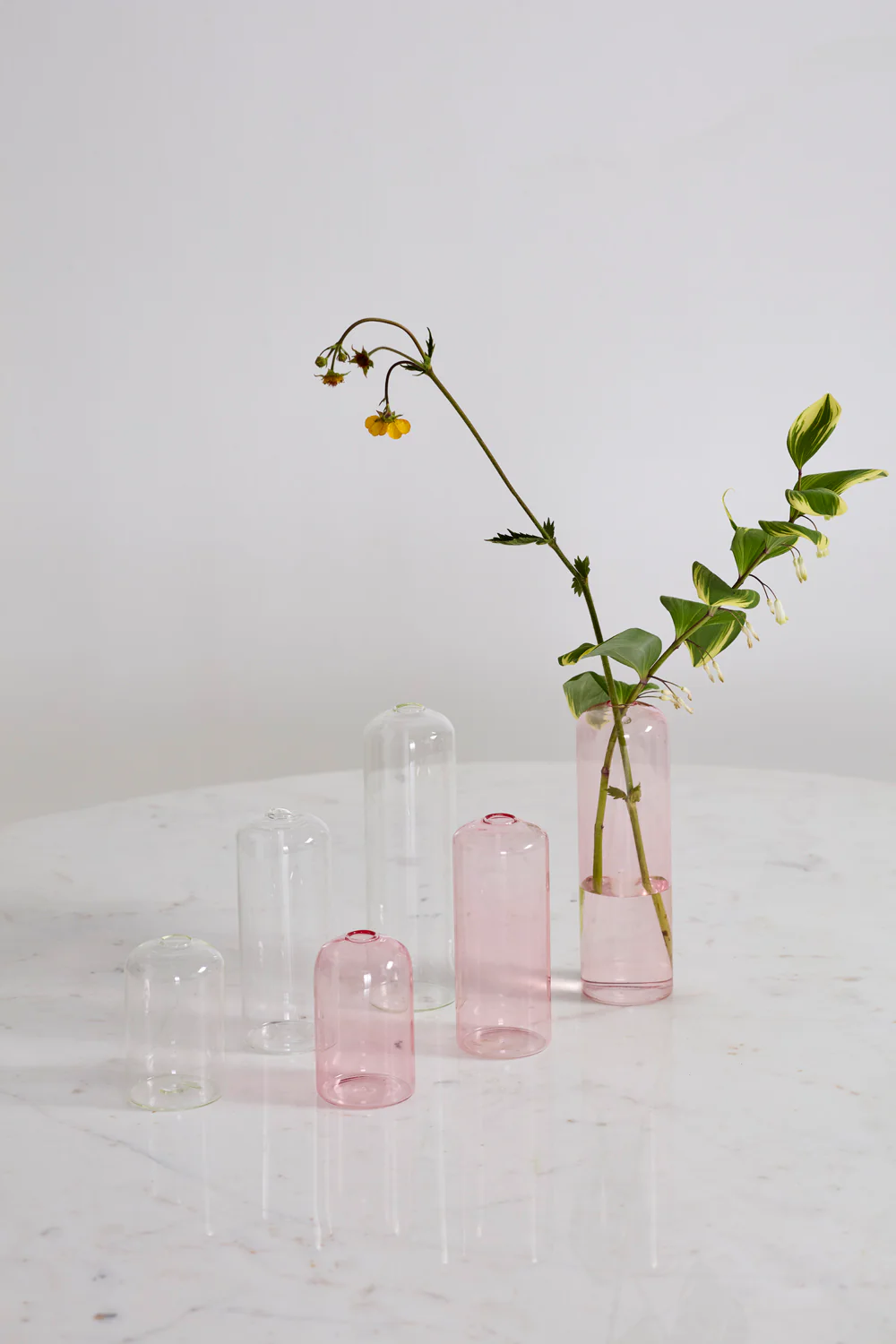 Highball Budvase Set of 8 By Accent Decor