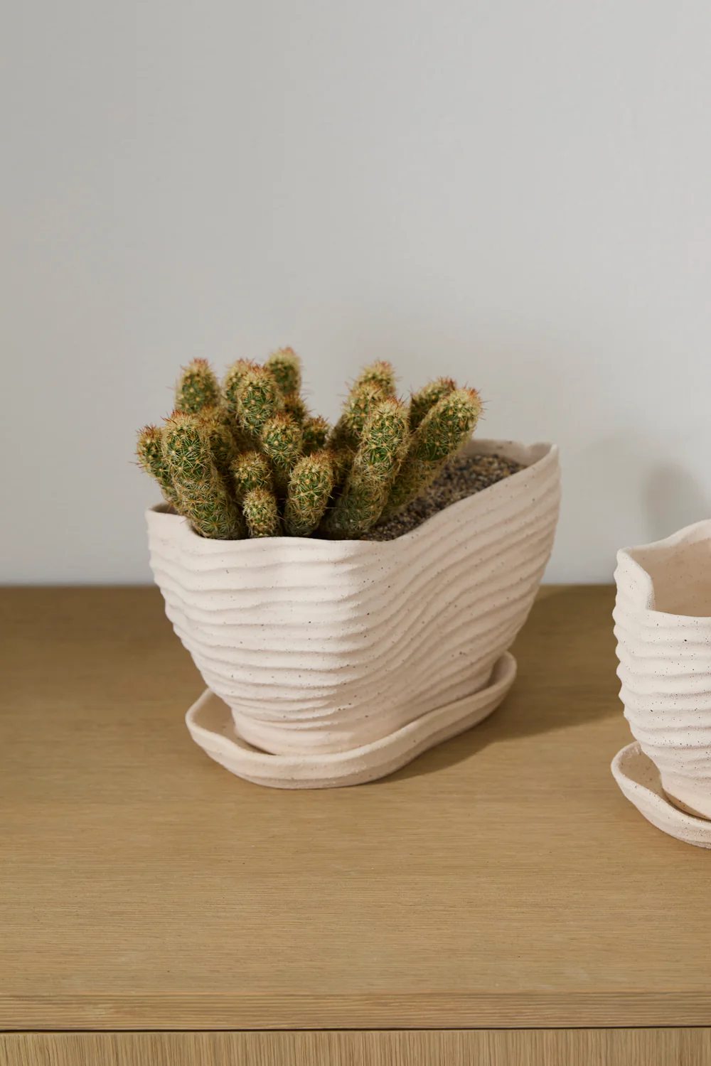 Highland Pot with Saucer Set of 4 By Accent Decor - Image 12