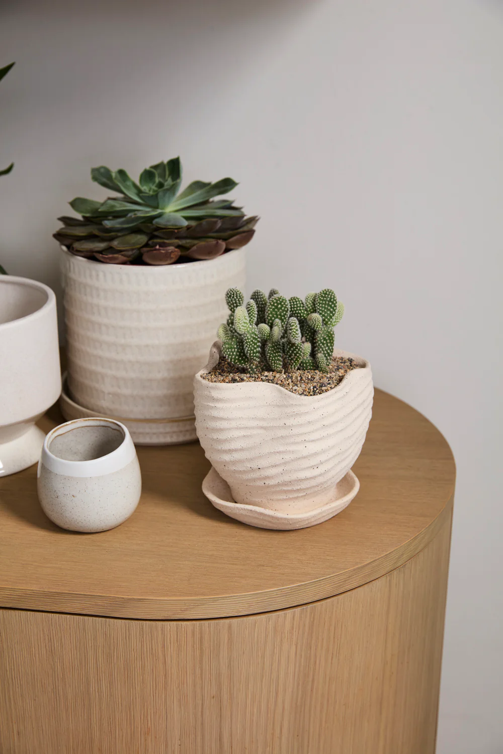 Highland Pot with Saucer Set of 4 By Accent Decor - Image 8