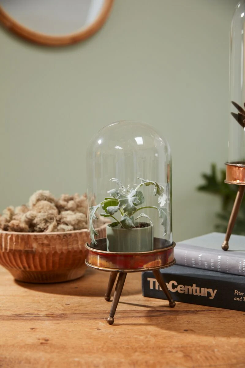 Historic Cloche Stand 5"x 10.75" By Accent Decor
