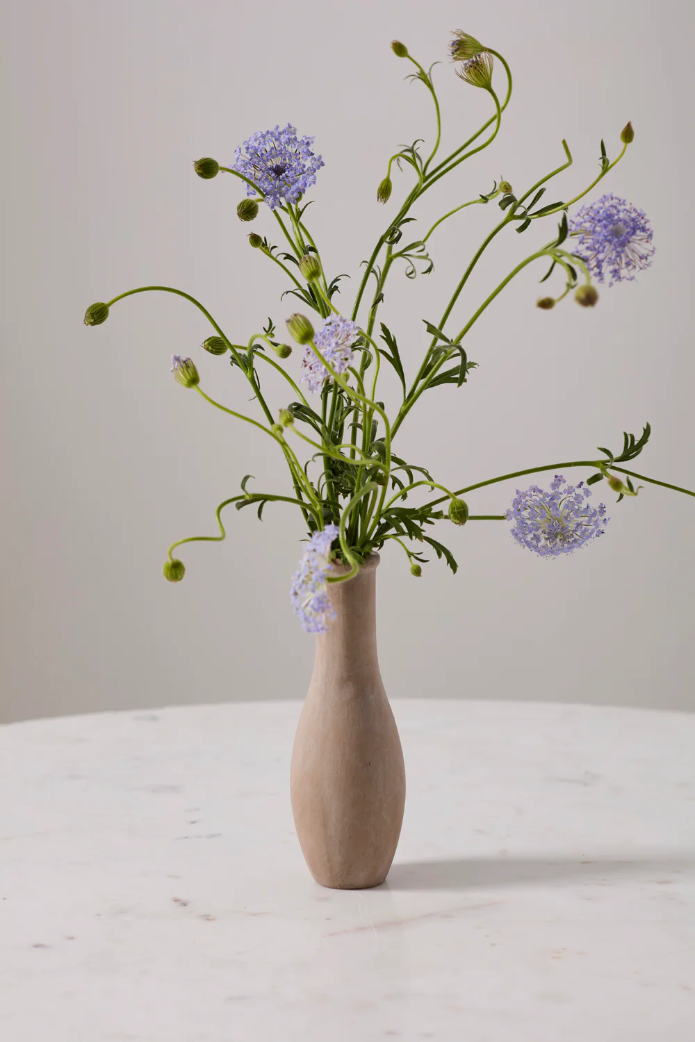 Holden Budvase Set of 8 By Accent Decor - Image 11