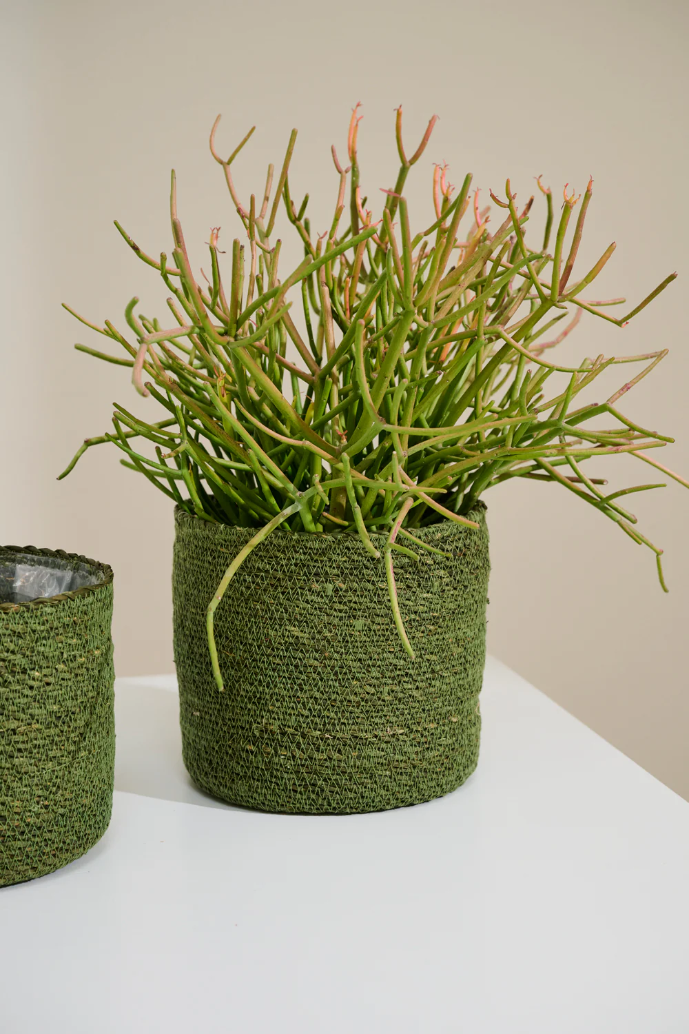 Inkberry Basket - Set of 6 By Accent Decor - Image 7