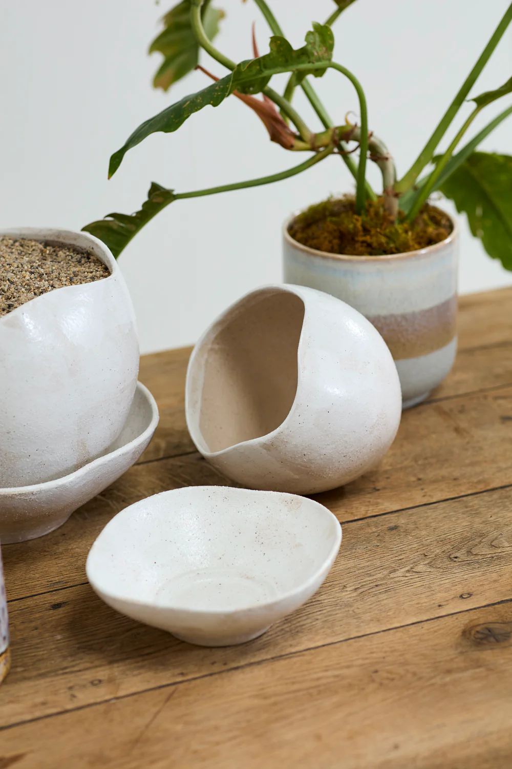 Iona Pot By Accent Decor - Image 8
