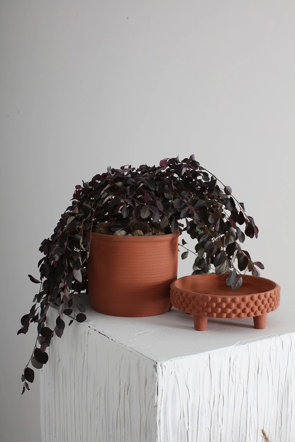 Jane Footed Pot Set of 4 By Accent Decor - Image 16
