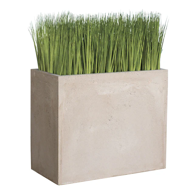 Grass: Japanese Grass In Urbano Rectangle Planter, Lg By Gold Leaf Design Group