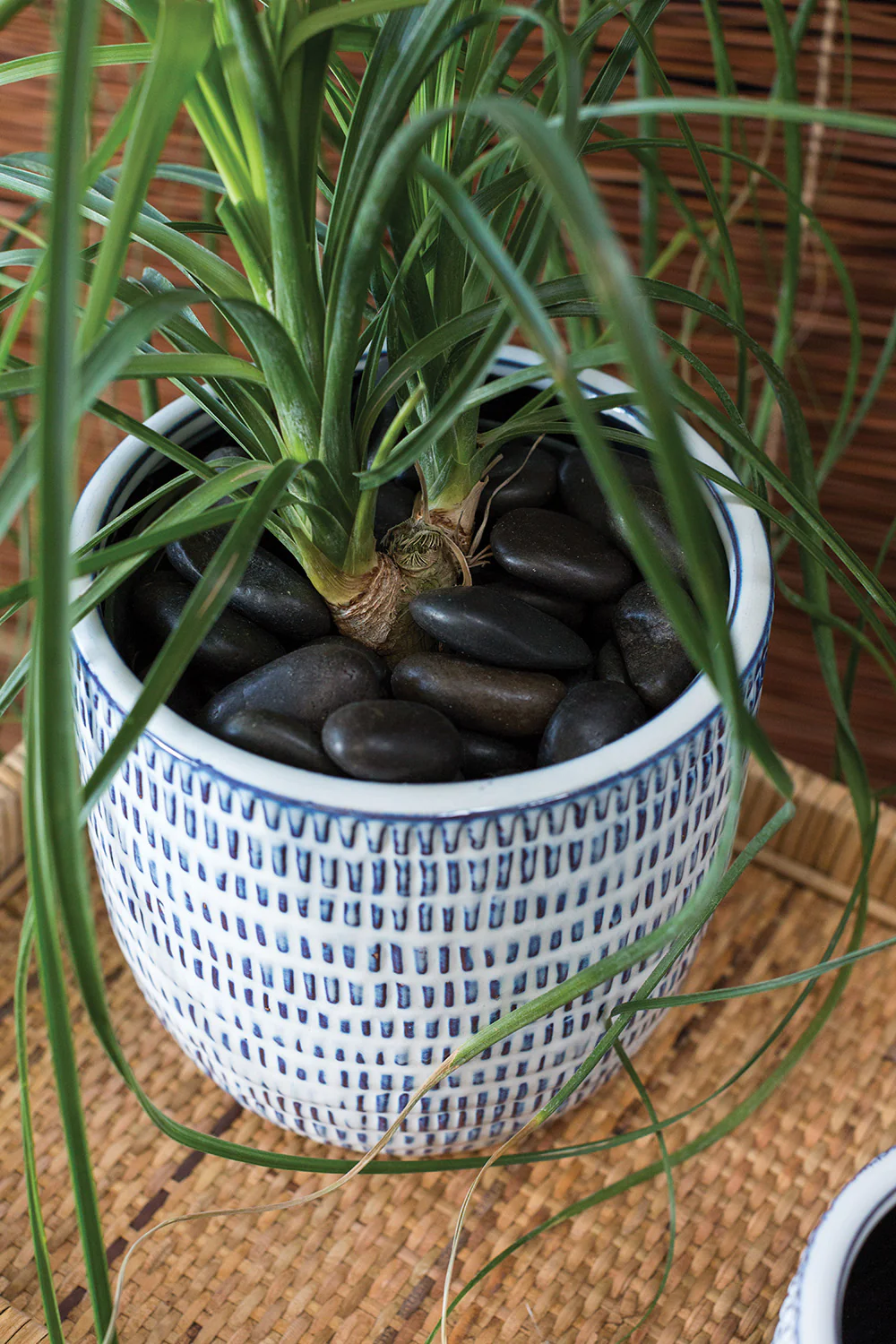 Jupiter Pot Set of 8 By Accent Decor - Image 9
