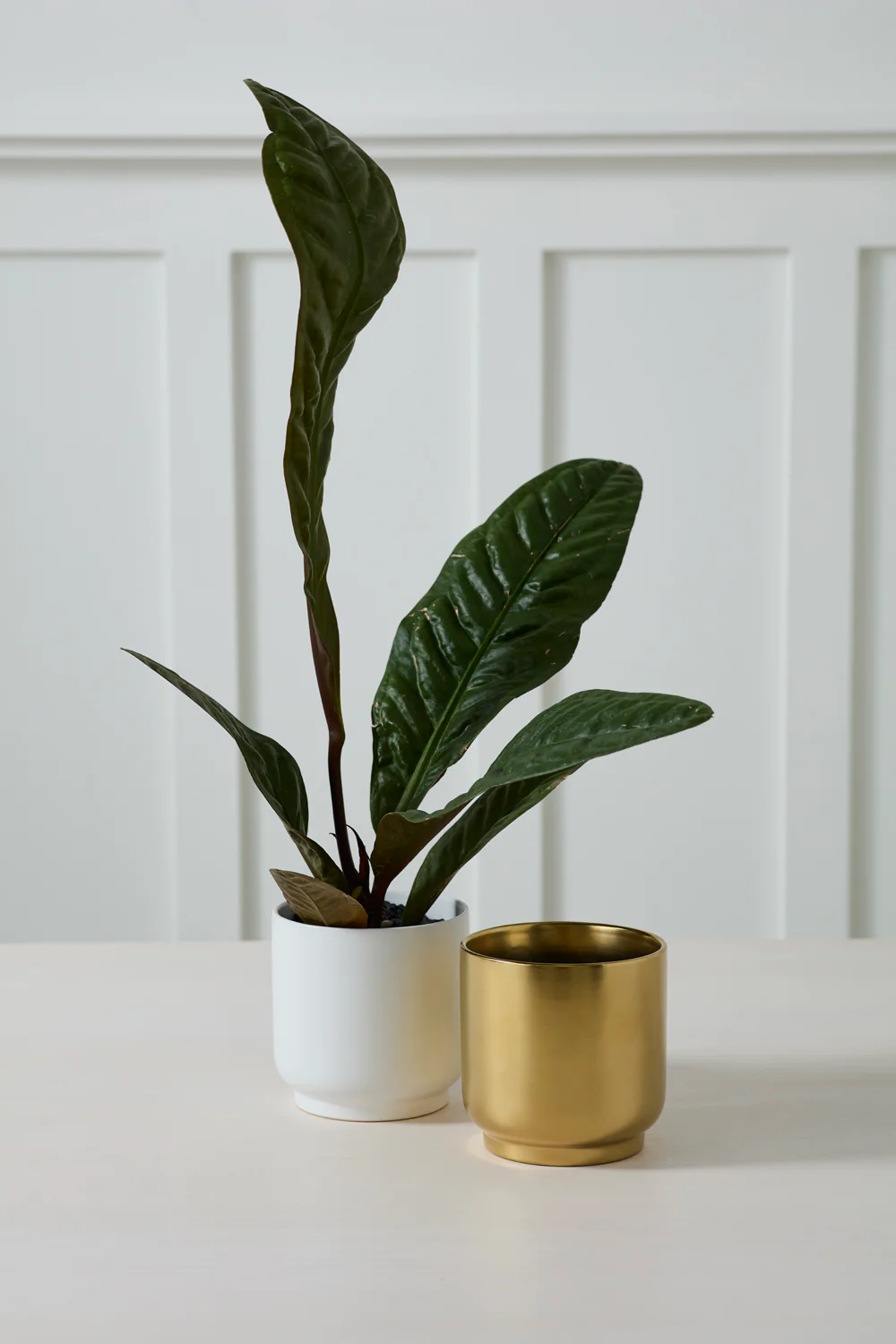 Kellen Pot Set of 4 By Accent Decor - Image 4