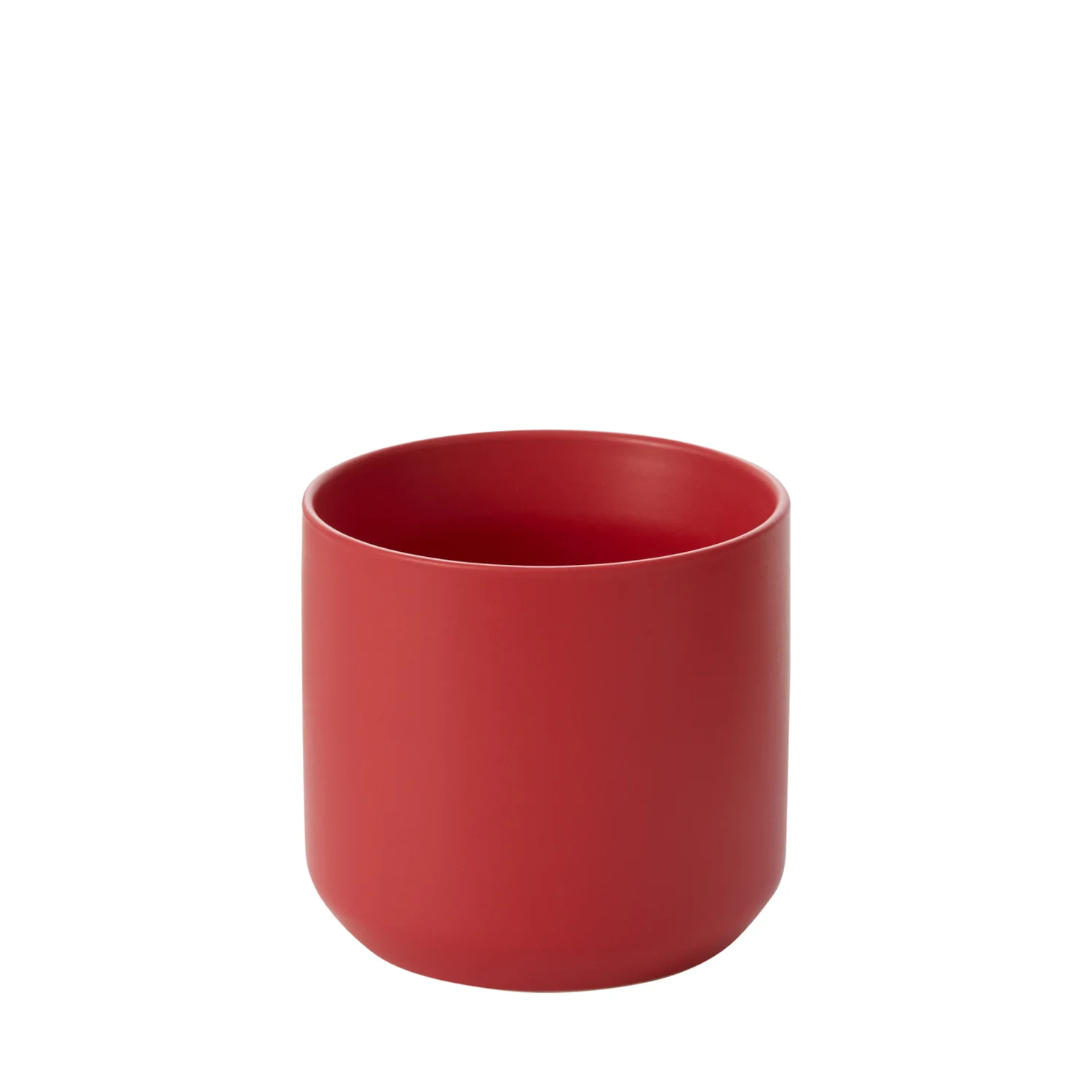 Kendall Holiday Collection Set of 8 By Accent Decor - Image 4