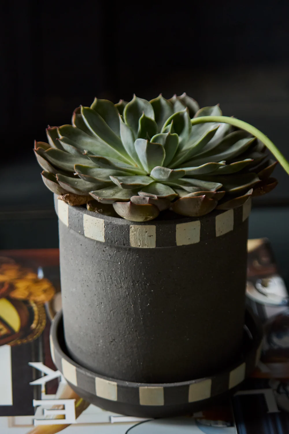 Kimo Pot with Saucer Set of 2 By Accent Decor