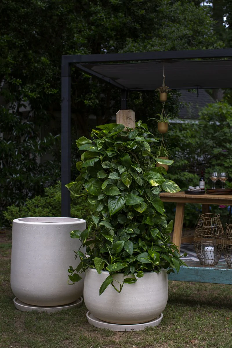 Kodiak Planter By Accent Decor
