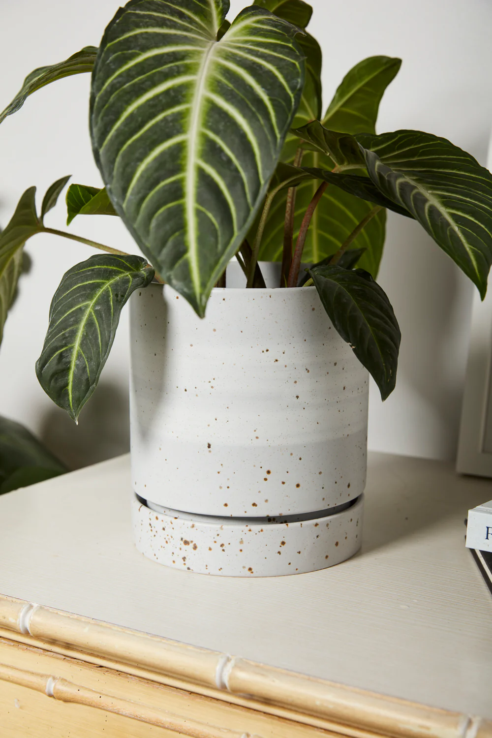 La Jolla Pot Set of 4 By Accent Decor - Image 8