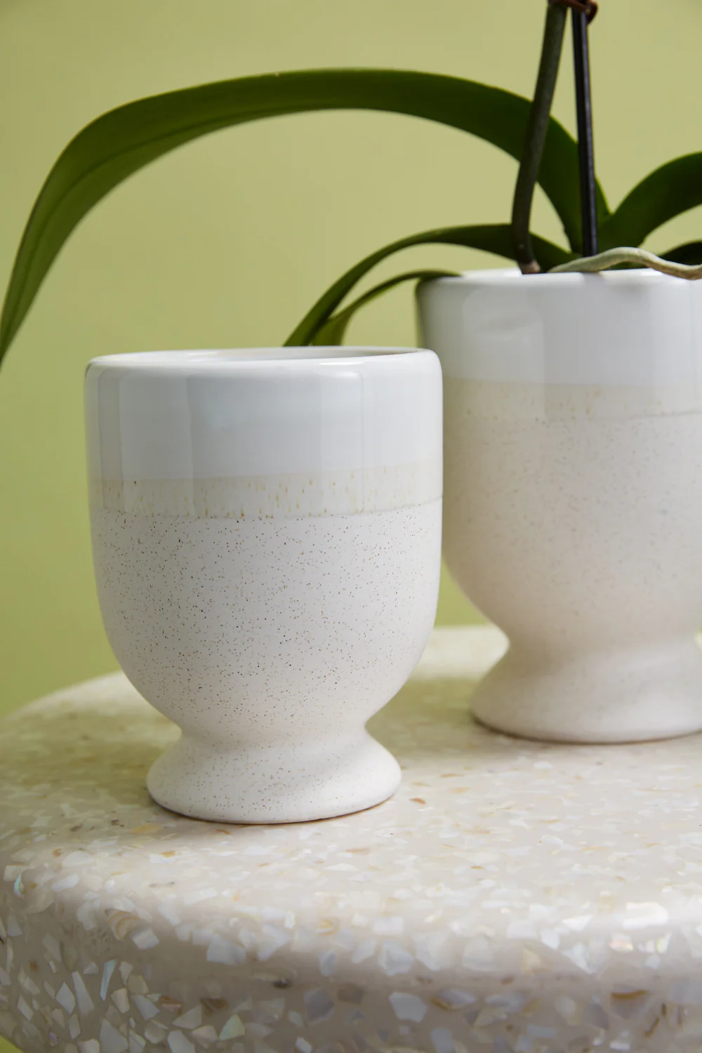 Laney Vase Set of 8 By Accent Decor - Image 4