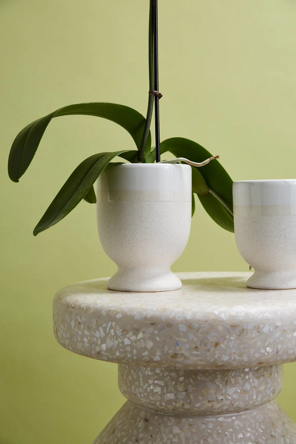 Laney Vase Set of 8 By Accent Decor - Image 9