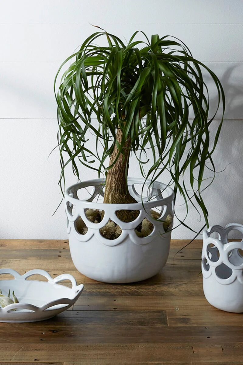 Lattice Pot 10"x 8.25" By Accent Decor