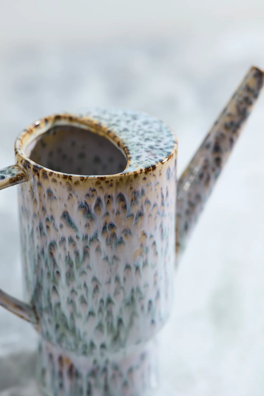 Lucien Watering Can Set of 2 By Accent Decor - Image 5