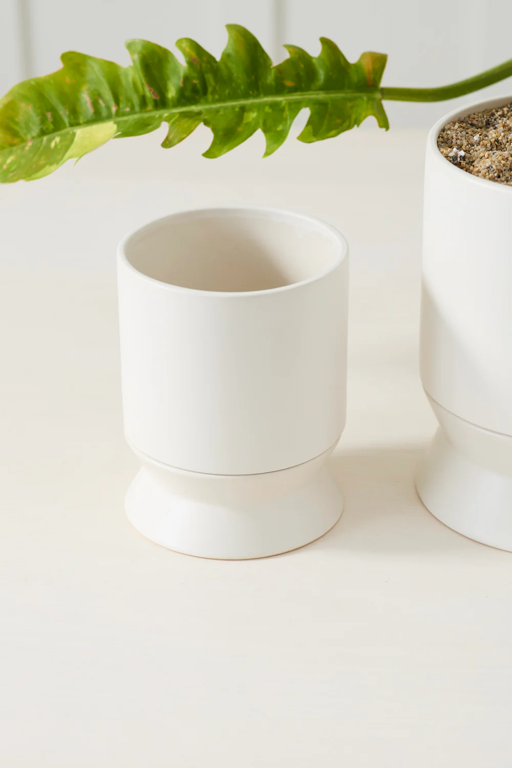 Madison Pot with Saucer Set of 2 By Accent Decor - Image 11