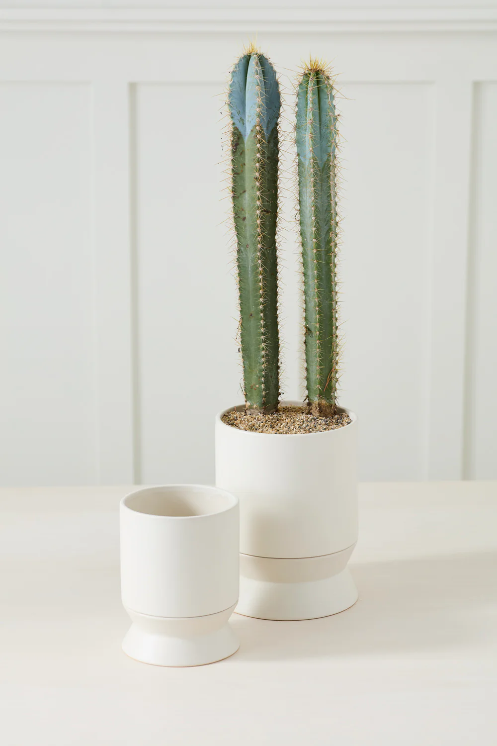 Madison Pot with Saucer Set of 2 By Accent Decor - Image 5