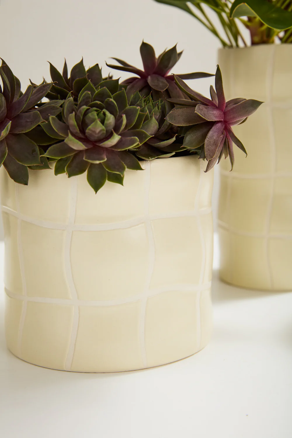 Maison Collection Set of 4 By Accent Decor
