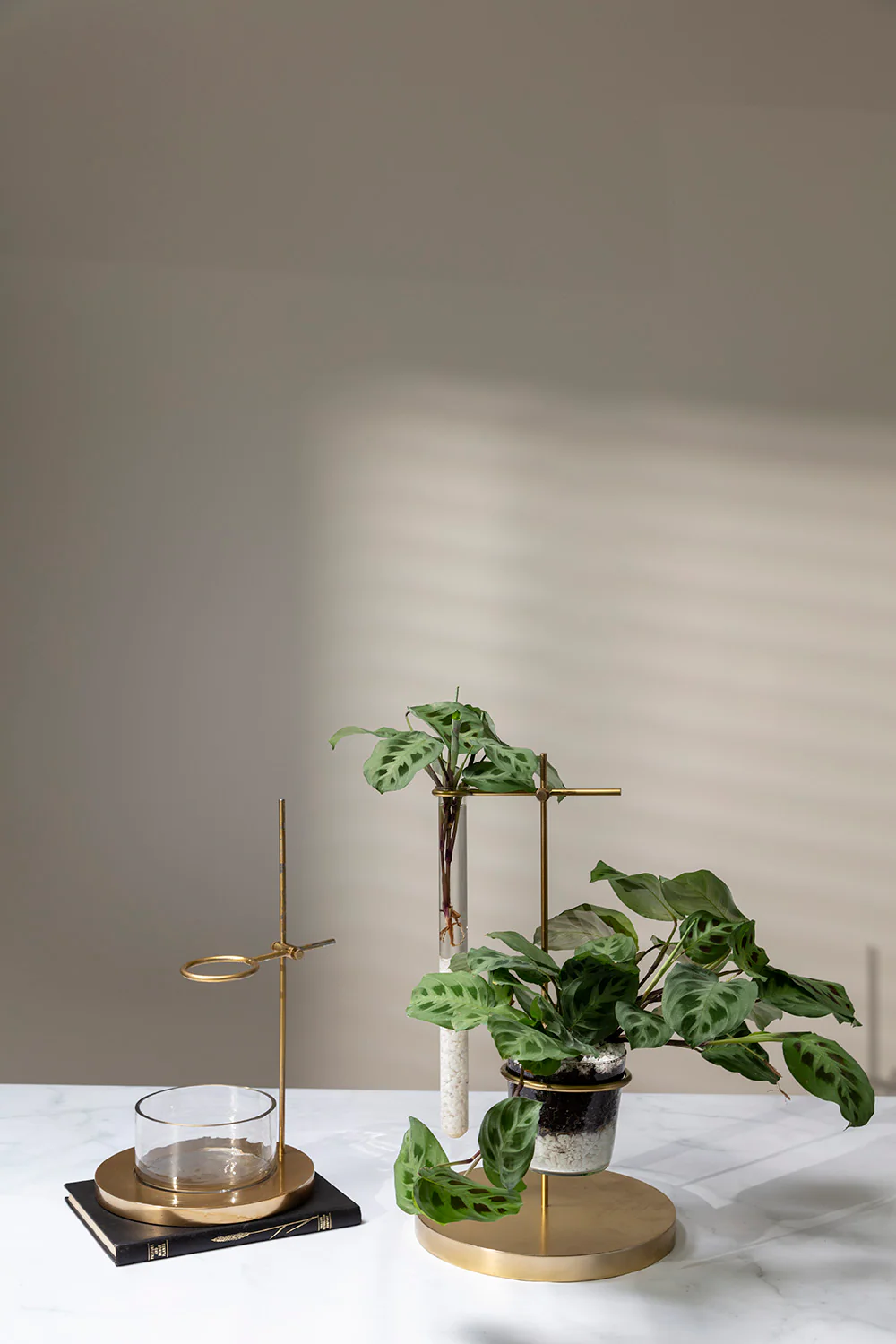 Mendel Collection By Accent Decor