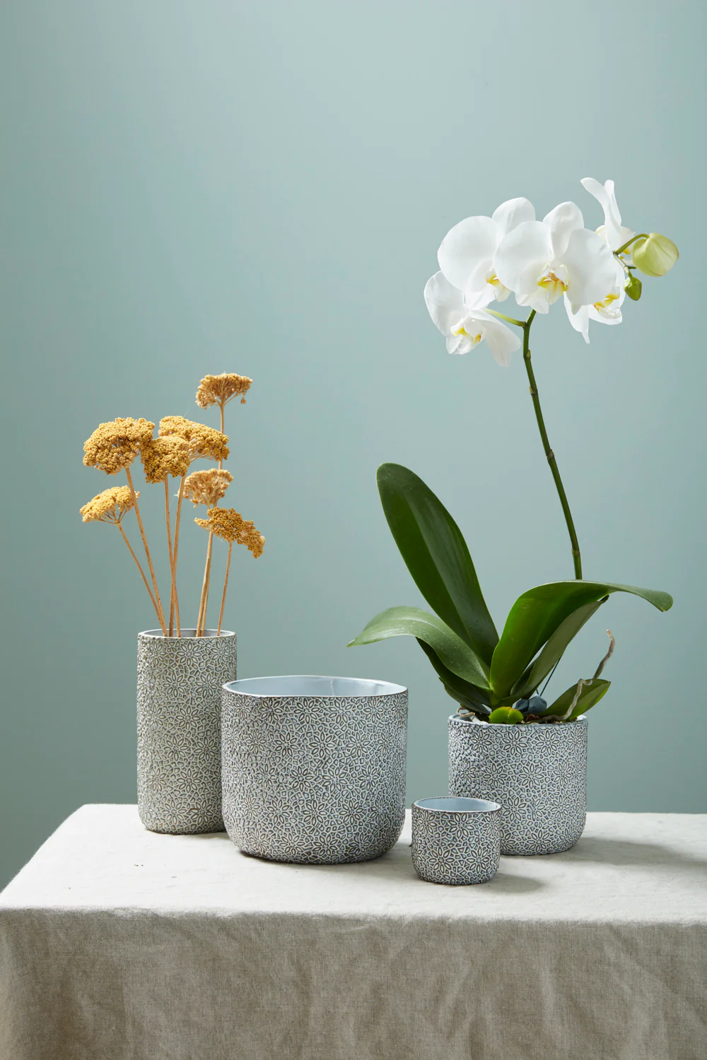 Millie Collection Set of 8 By Accent Decor