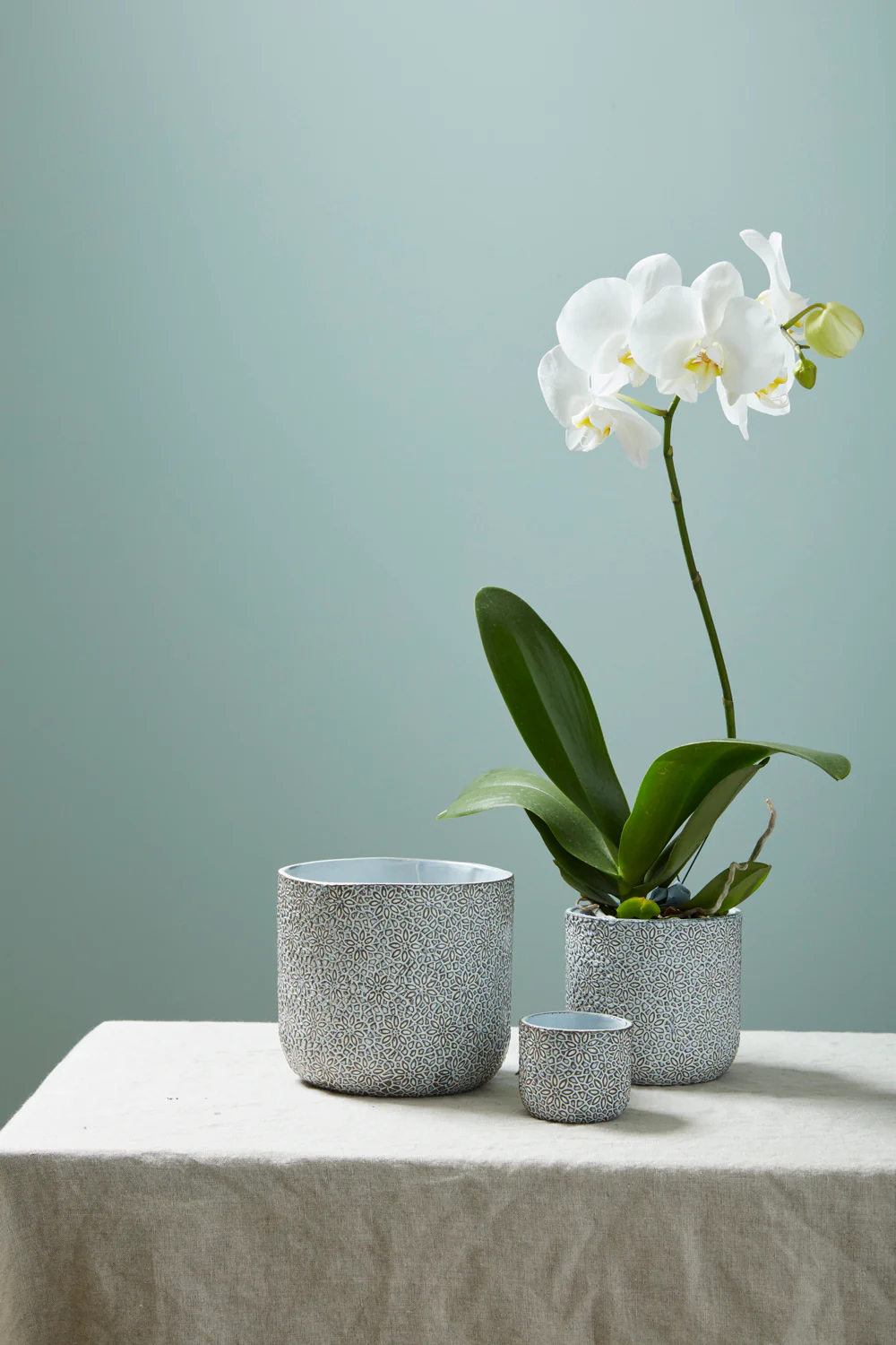 Millie Collection Set of 8 By Accent Decor - Image 3