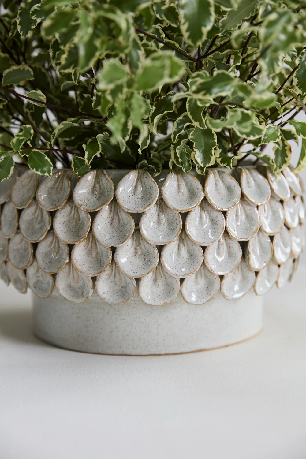 Mirabai Bowl By Accent Decor - Image 7