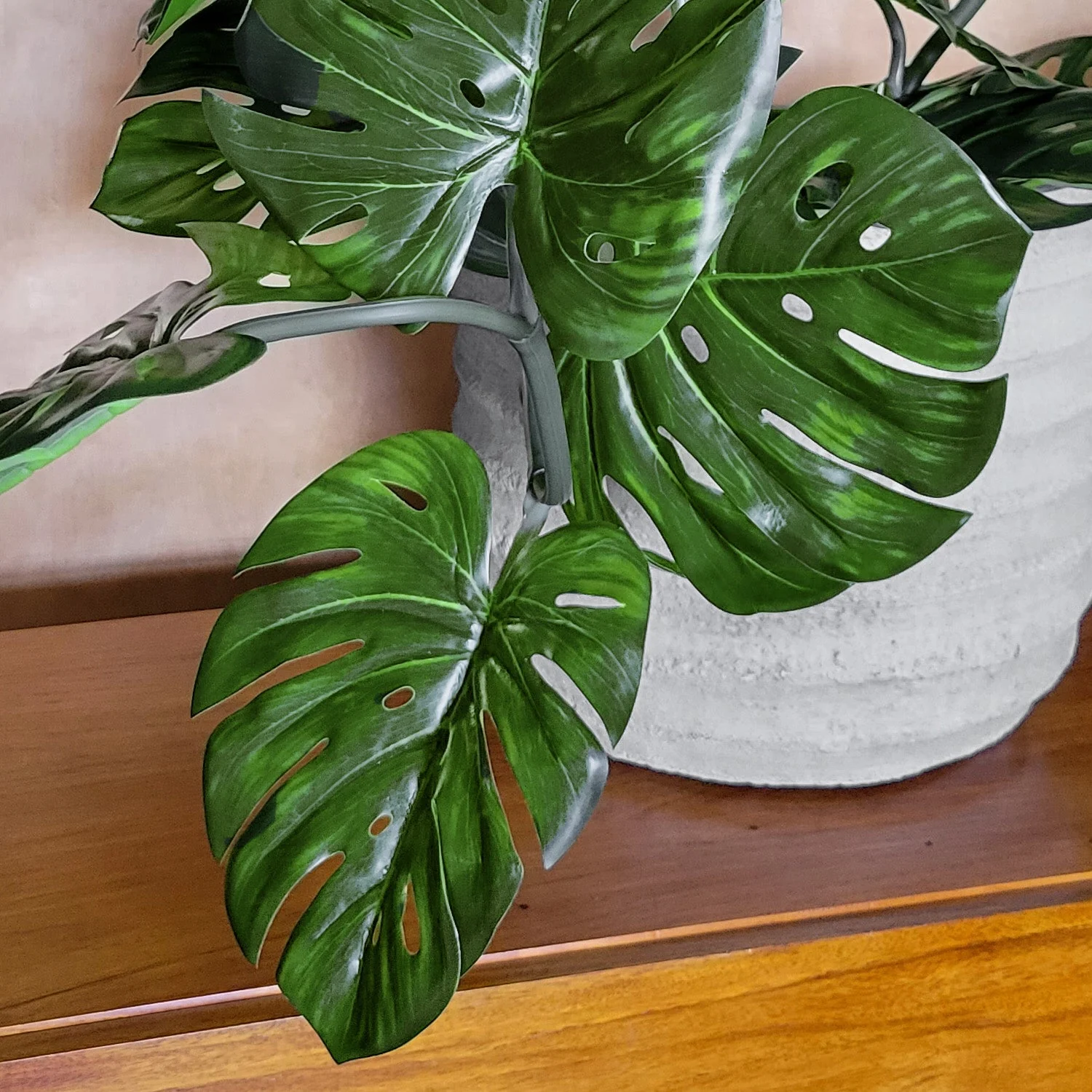 Monstera Vine in Rotunda Planter SM, Grey Matte By Gold Leaf - Image 4