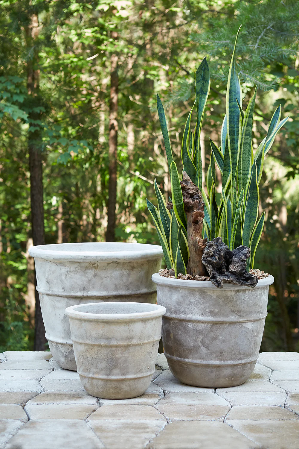 Monteclair Planter By Accent Decor - Image 4