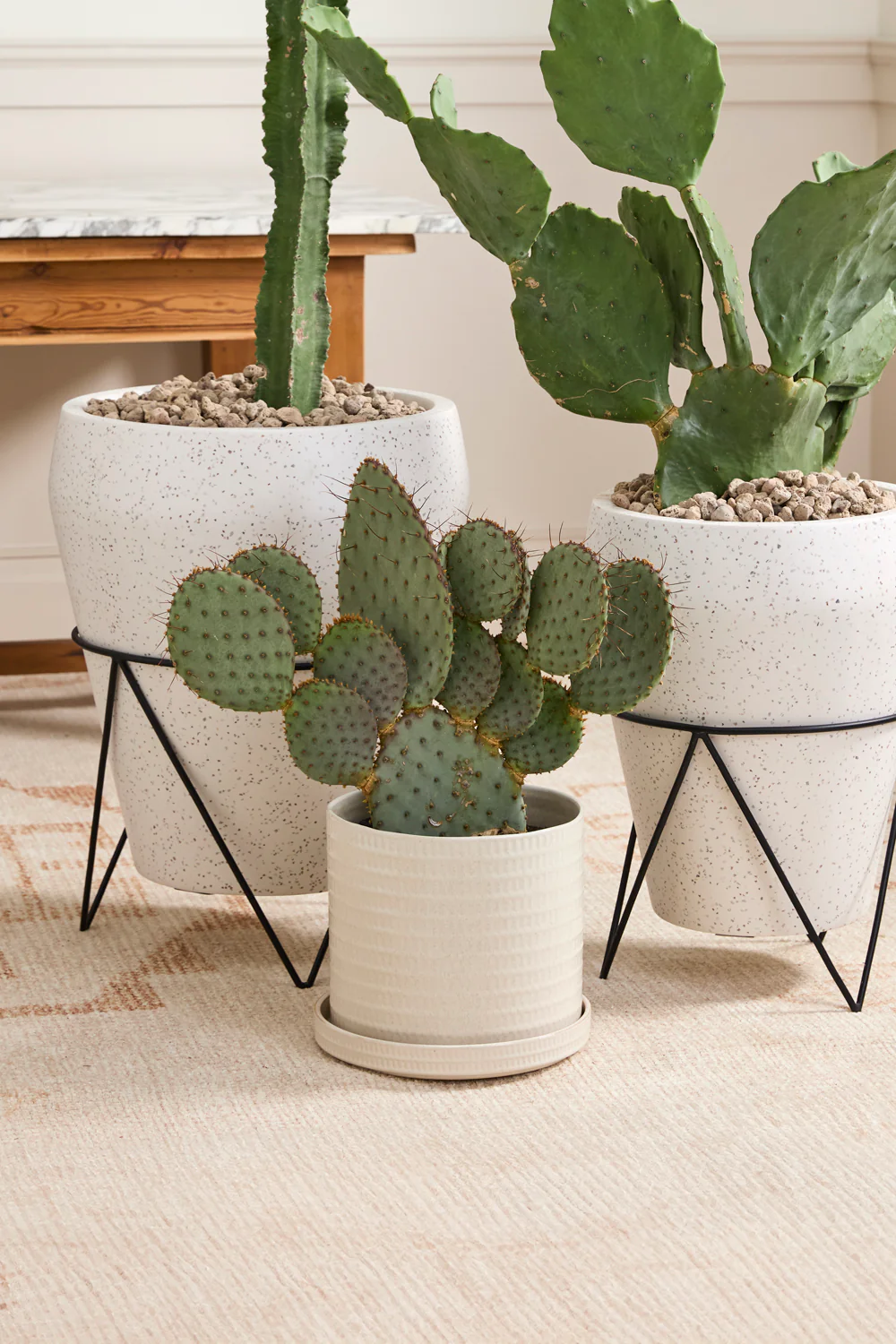 Morse Pot with Saucer Set of 4 By Accent Decor - Image 13