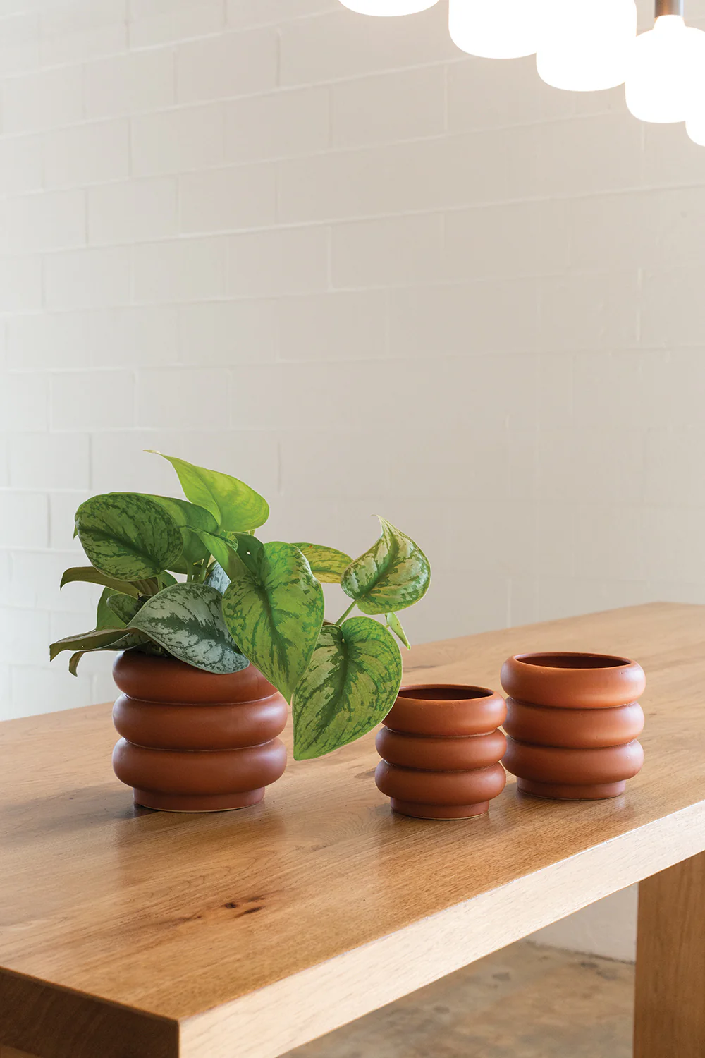 Motley Pot Set of 8 By Accent Decor - Image 4