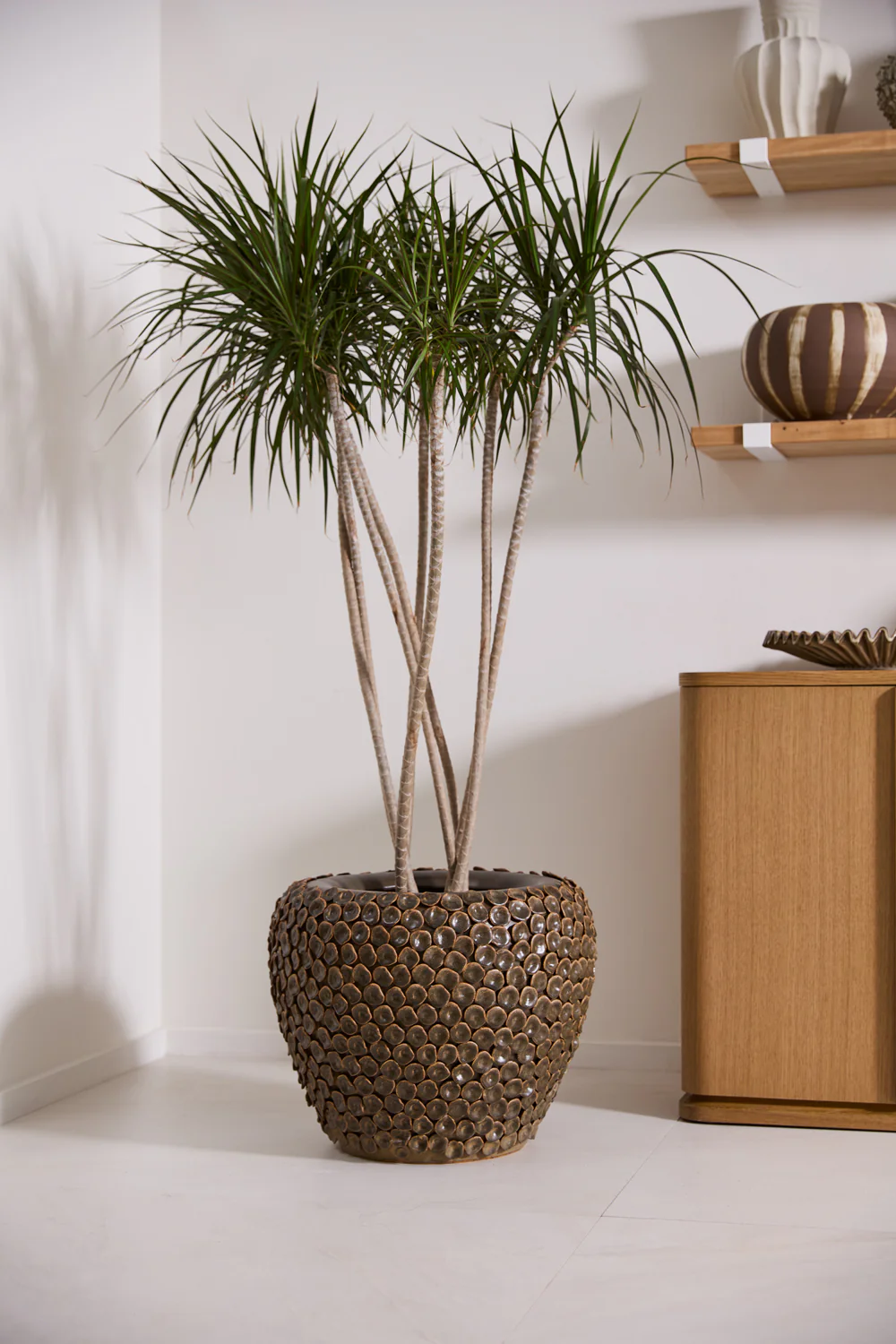 Nazim Planter By Accent Decor - Image 4