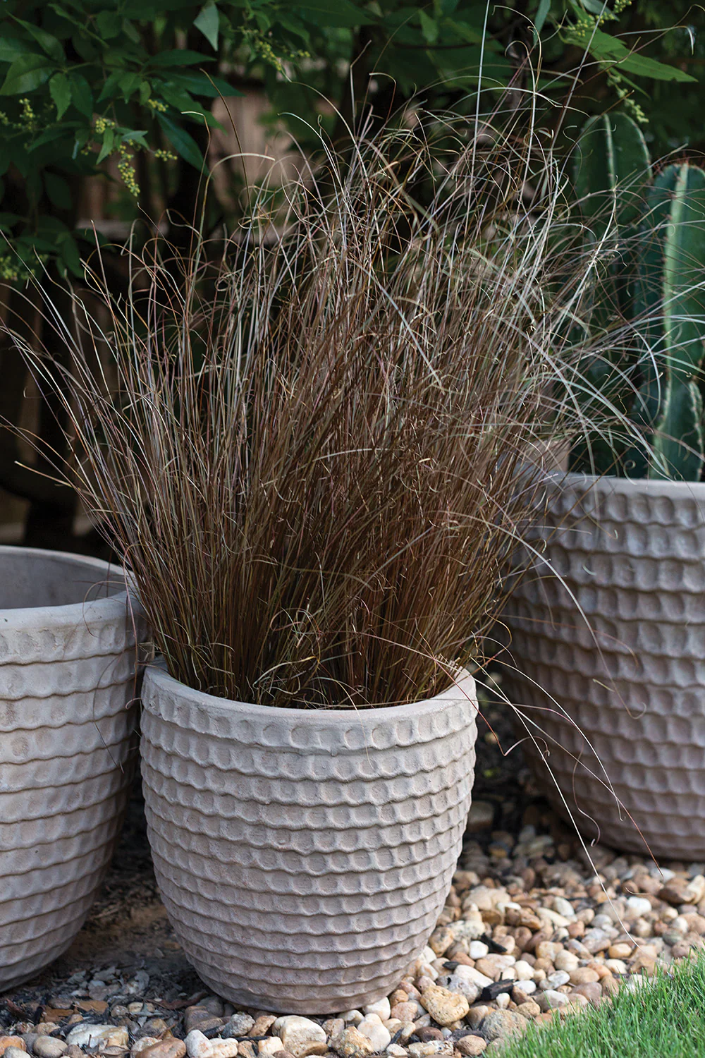 Nellie Pot By Accent Decor - Image 11