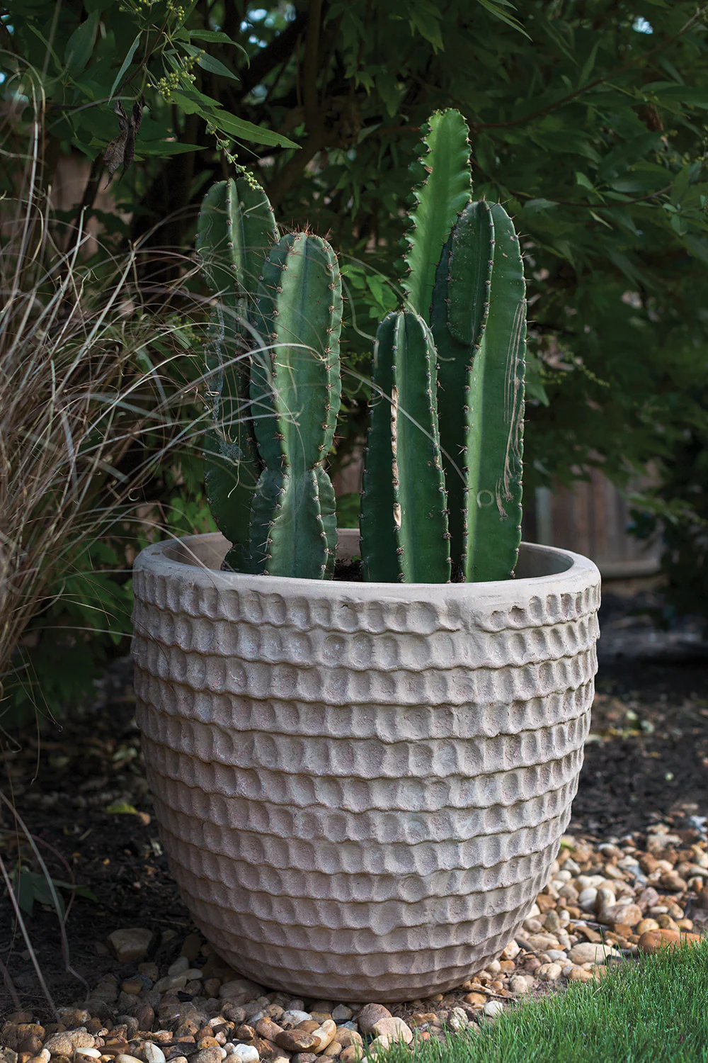 Nellie Pot By Accent Decor - Image 15