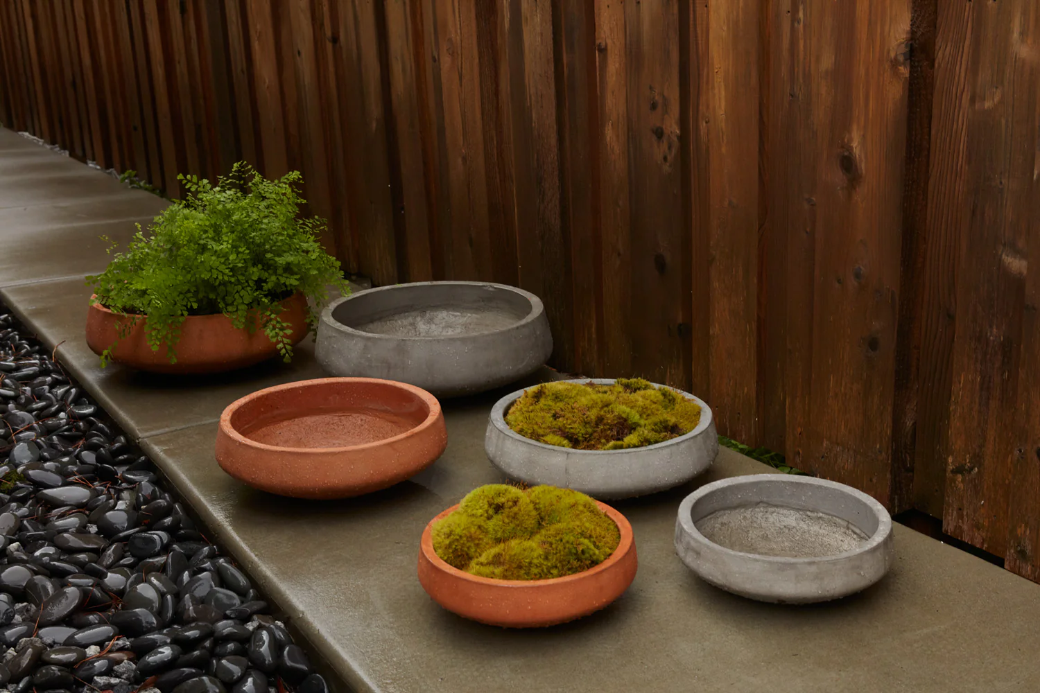 Newport Low Bowl Set of 2 By Accent Decor - Image 3