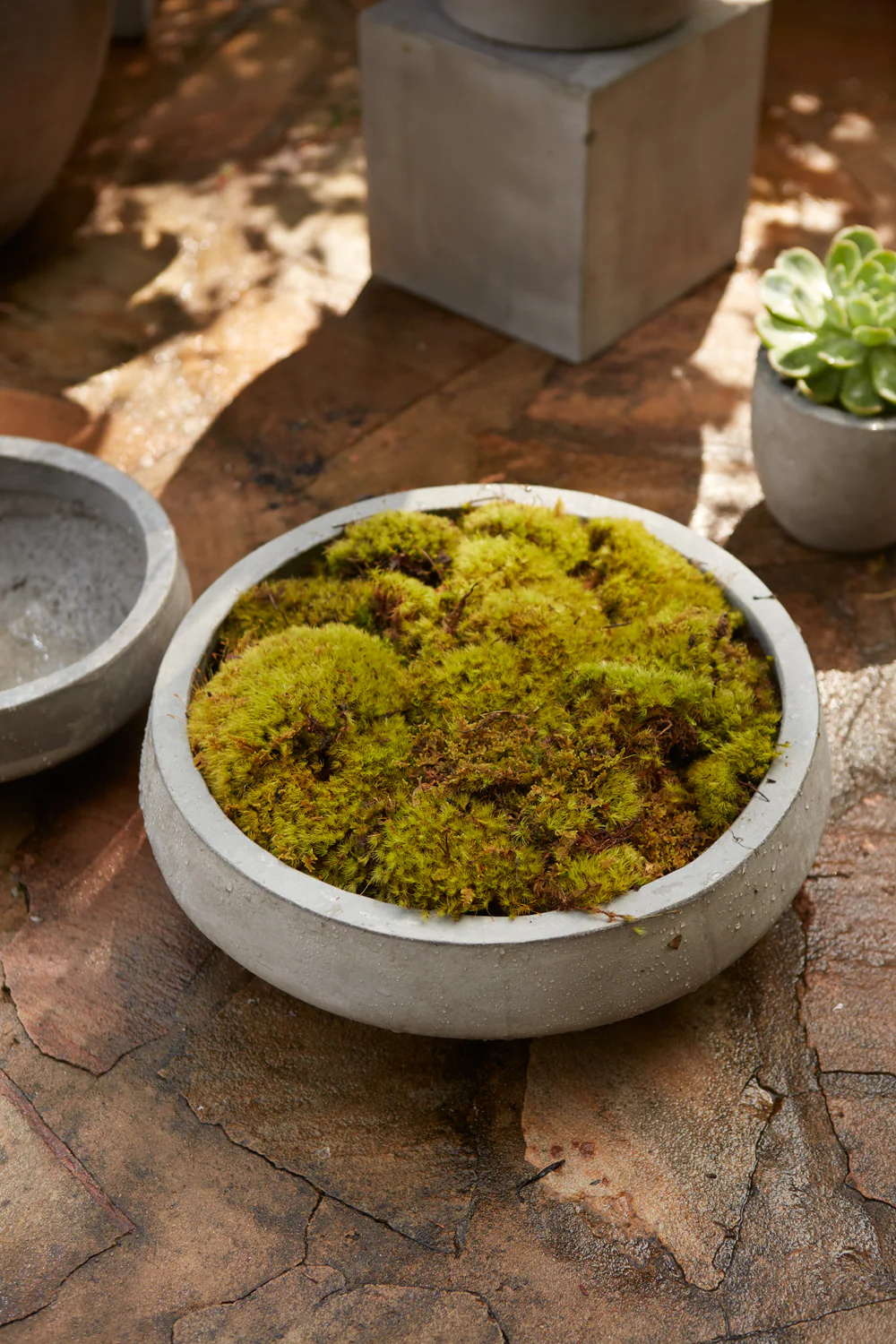 Newport Low Bowl Set of 2 By Accent Decor - Image 9