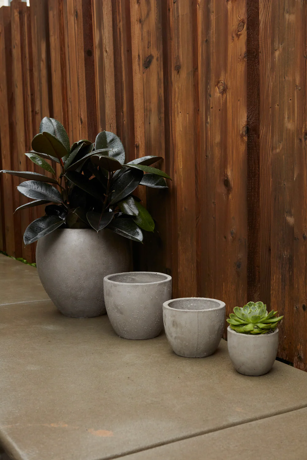 Newport Pot By Accent Decor