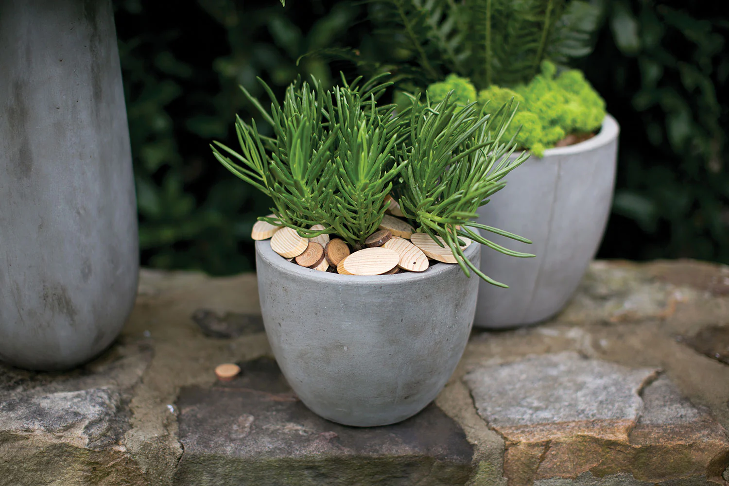 Newport Pot By Accent Decor - Image 10
