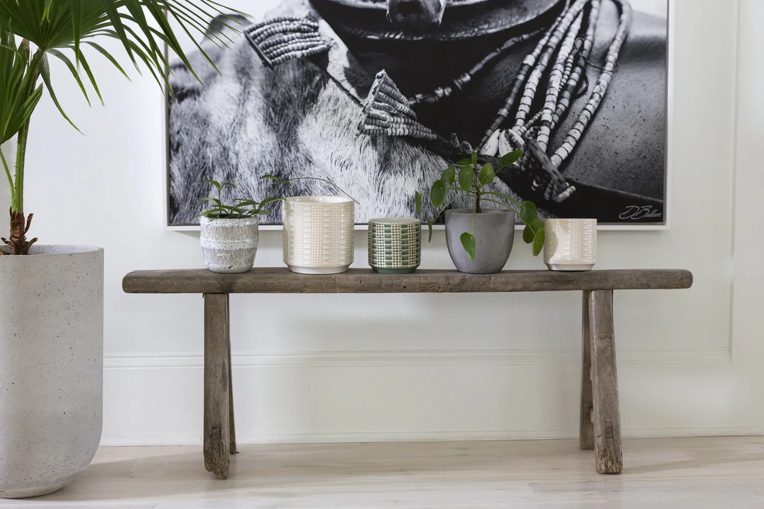 Newport Pot By Accent Decor - Image 11
