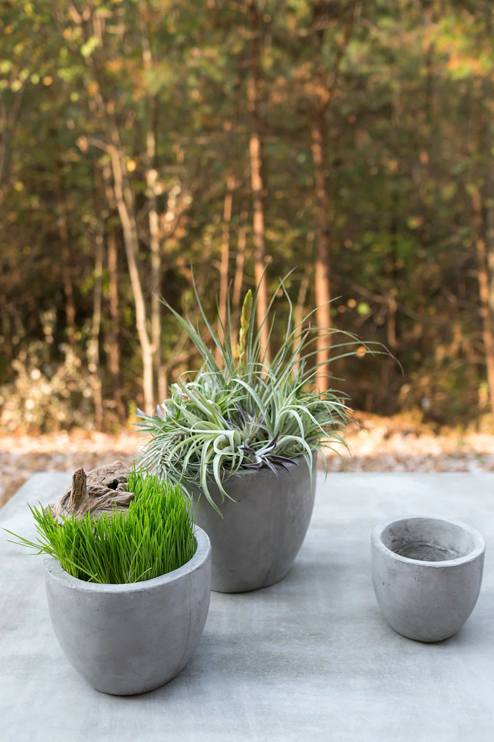 Newport Pot By Accent Decor - Image 13