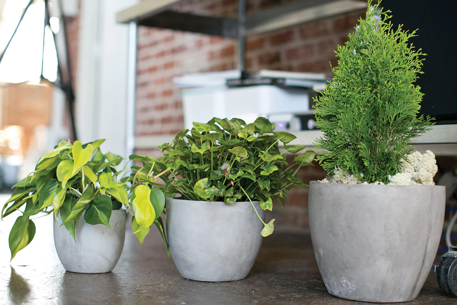 Newport Pot By Accent Decor - Image 15