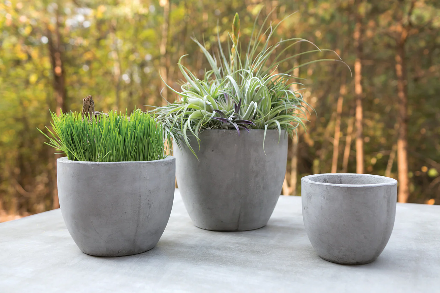 Newport Pot By Accent Decor - Image 4