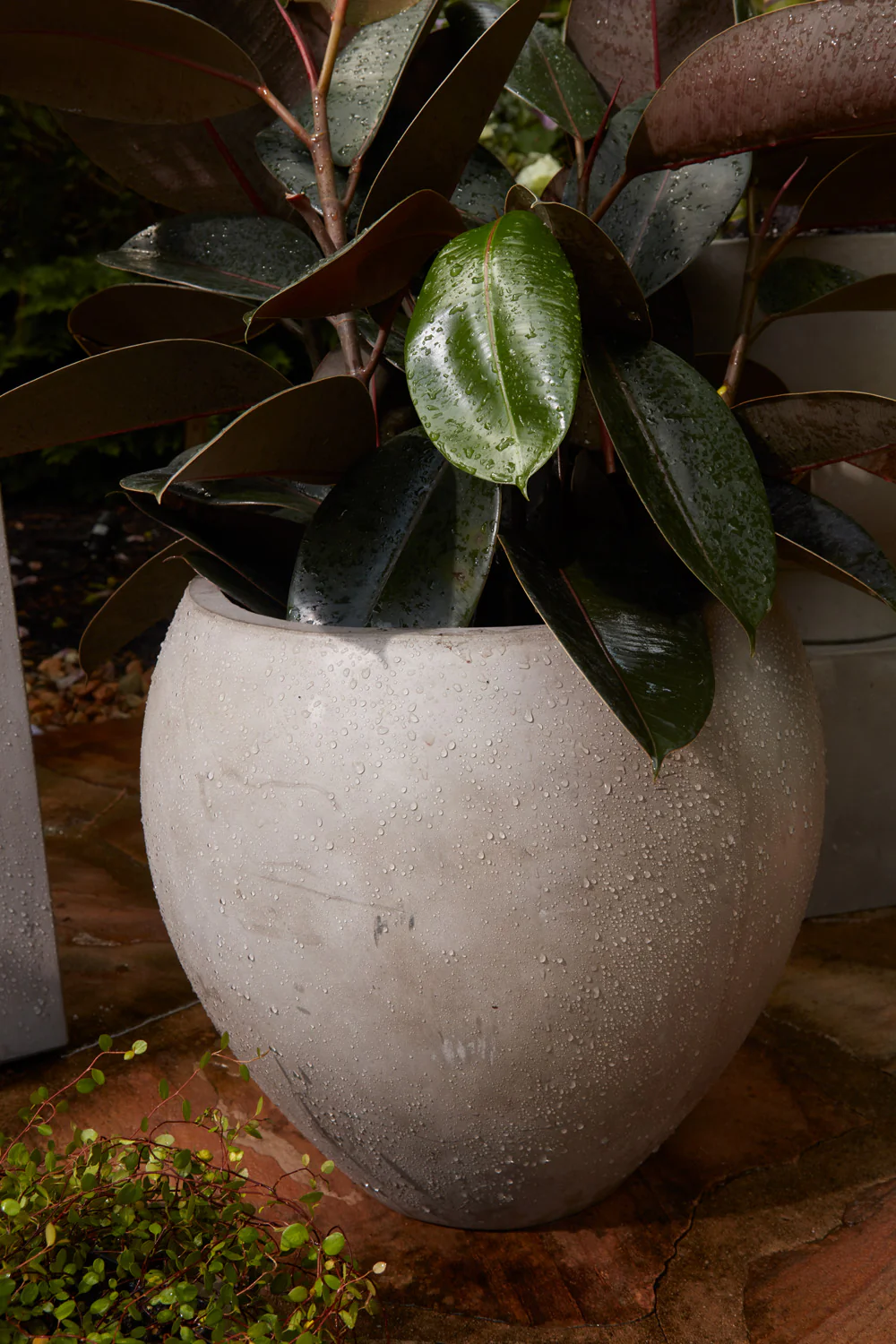 Newport Pot By Accent Decor - Image 6