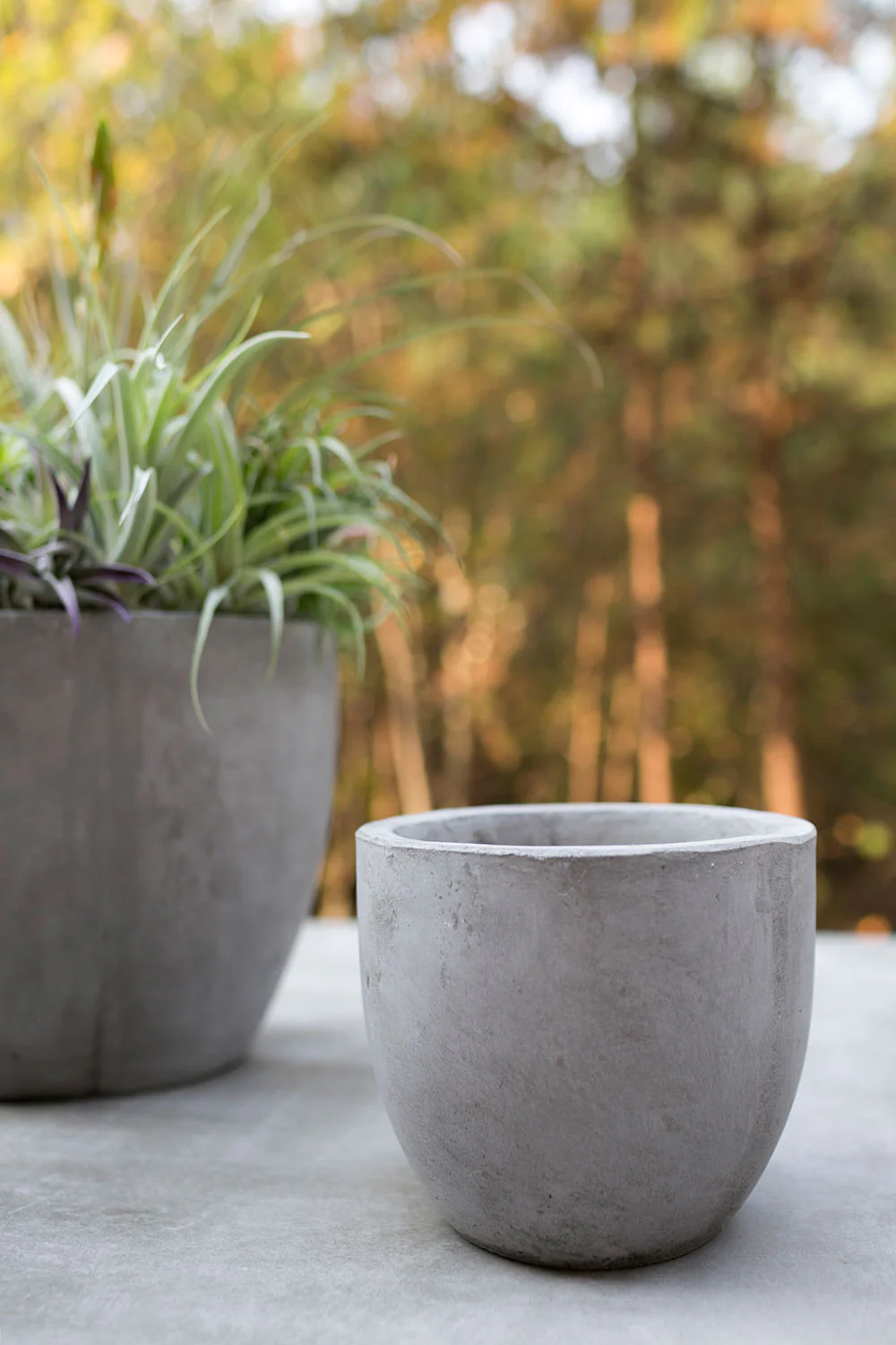 Newport Pot By Accent Decor - Image 9