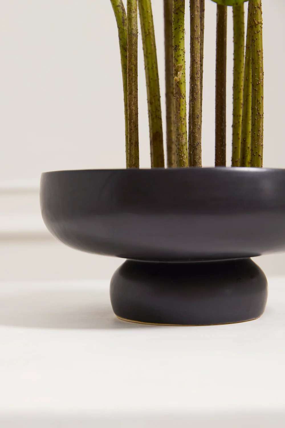 Nightingale Compote Set of 8 By Accent Decor